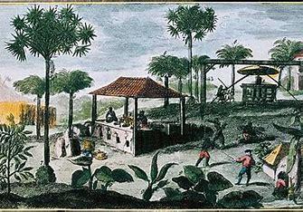 Sucrerie aux Antilles